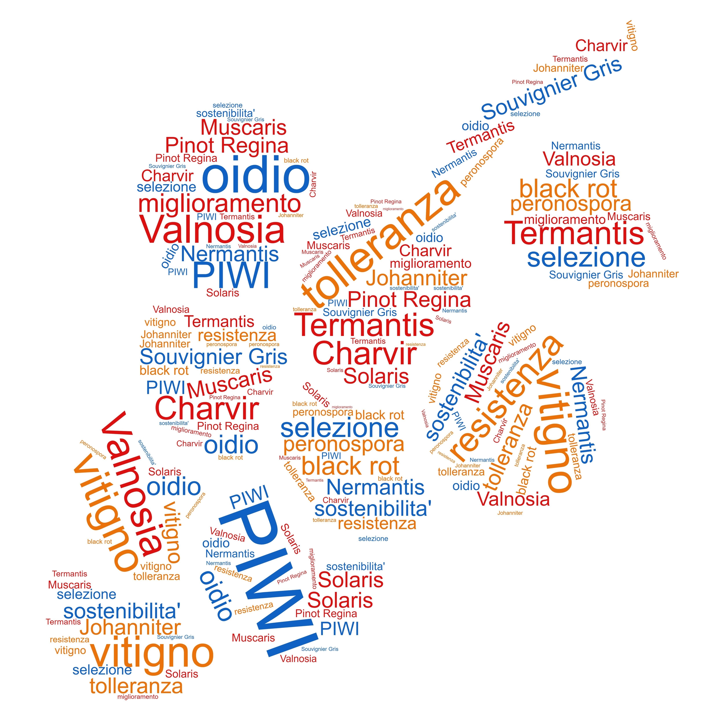 Image: wordcloud no-mask (1)