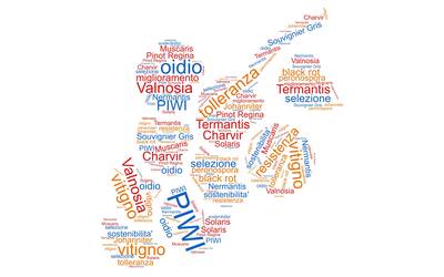 Image: wordcloud no-mask (1)