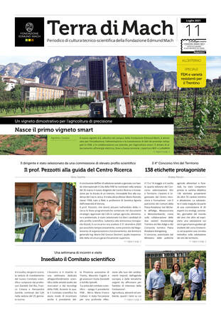 Immagine: Terra di Mach n.11 / Luglio 2021