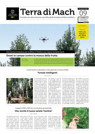 Immagine: Terra di Mach n.9 / Novembre 2020